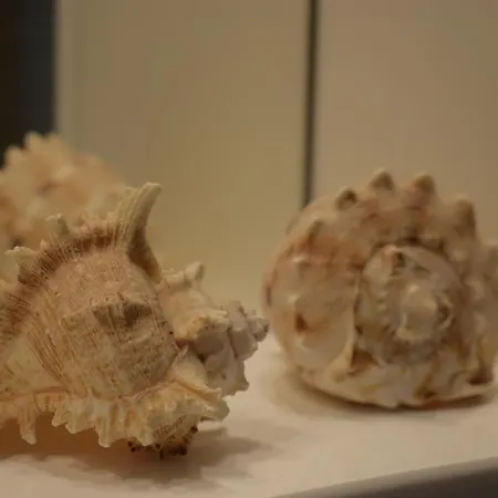 Lägenhet Funky Nest - A Cozy In Zipari Zipárion