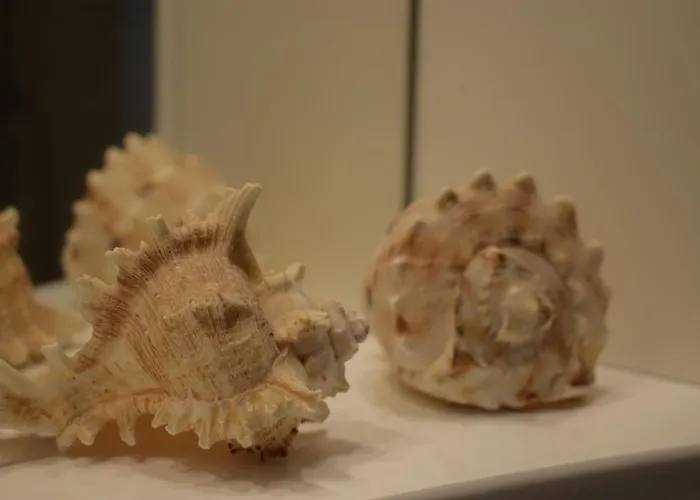 Lägenhet Funky Nest - A Cozy In Zipari Zipárion