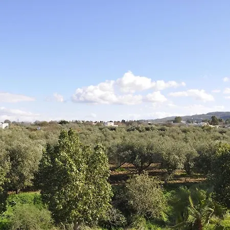 Funky Nest - A Cozy In Zipari Appartement